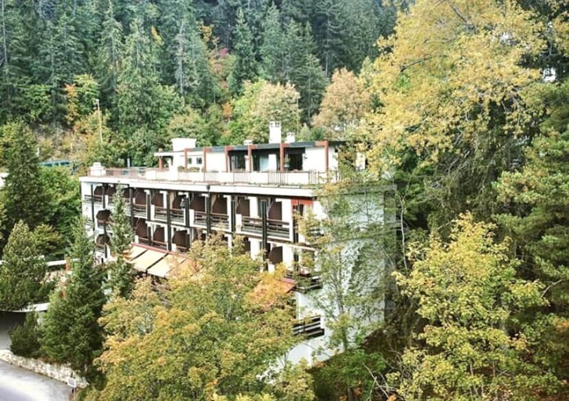 Hôtel de la Forêt