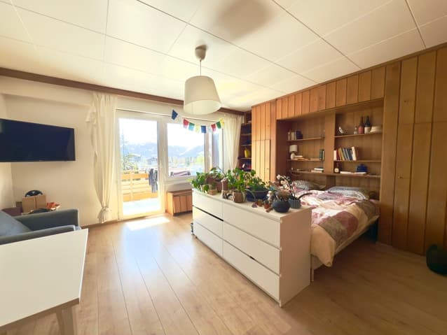 598 – Appartement 1 pièce 1100CHF