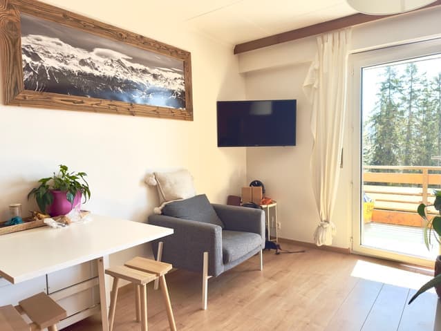 598 – Appartement 1 pièce 1100CHF