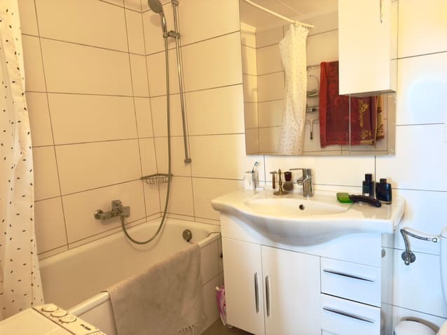 598 – Appartement 1 pièce 1100CHF