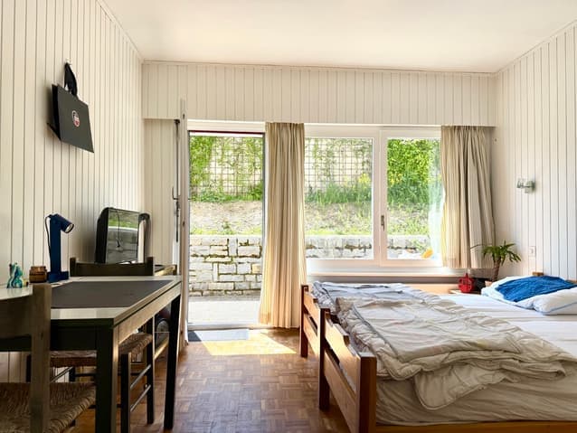 733 – Appartement  -1pièce  – 850CHF