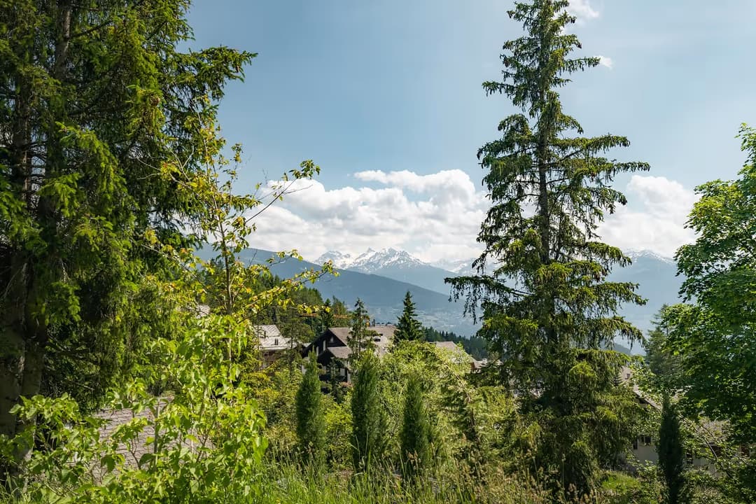 1092 – Maison –  333.35m²