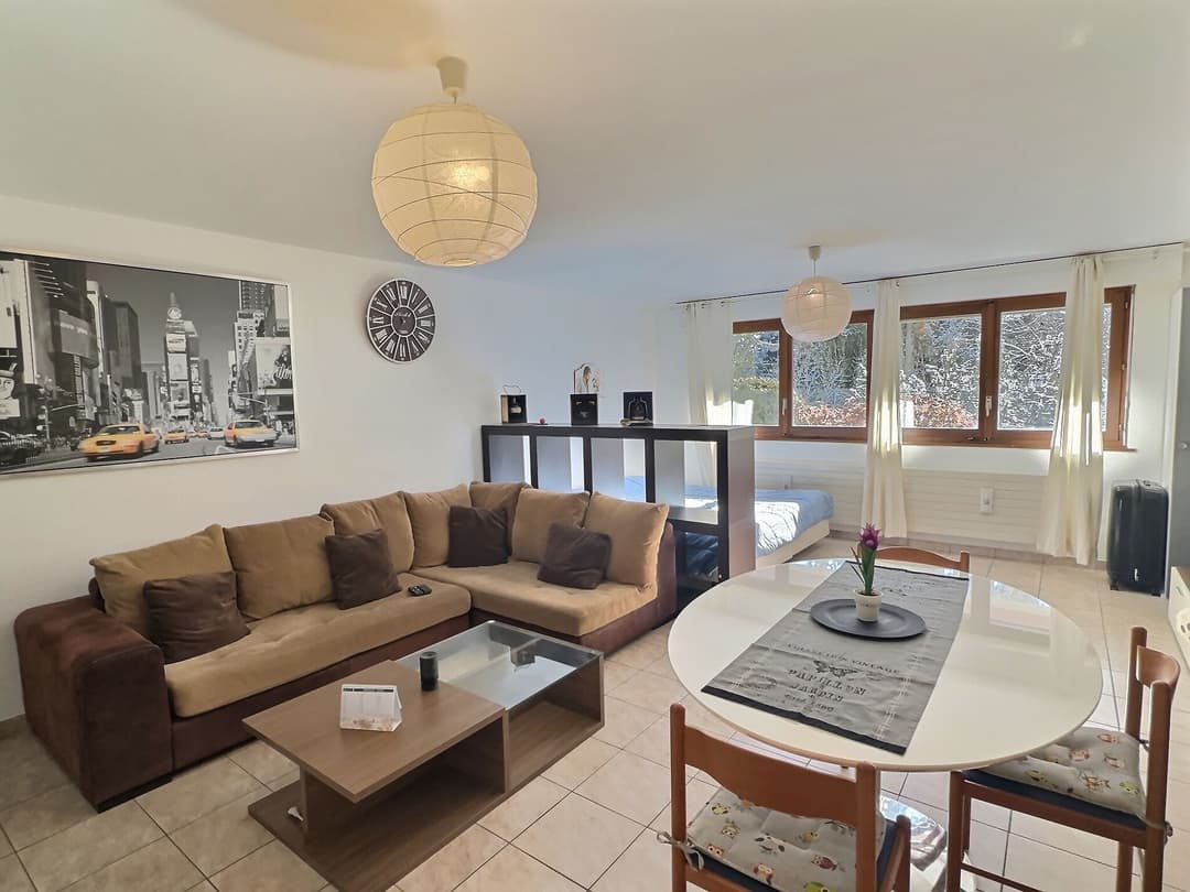 1233 – Appartement – 1pièce – 350000CHF – 45 m²
