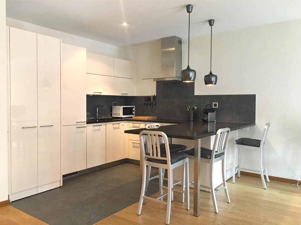 1034 – Appartement – 1pièce – 1700CHF – 52 m²