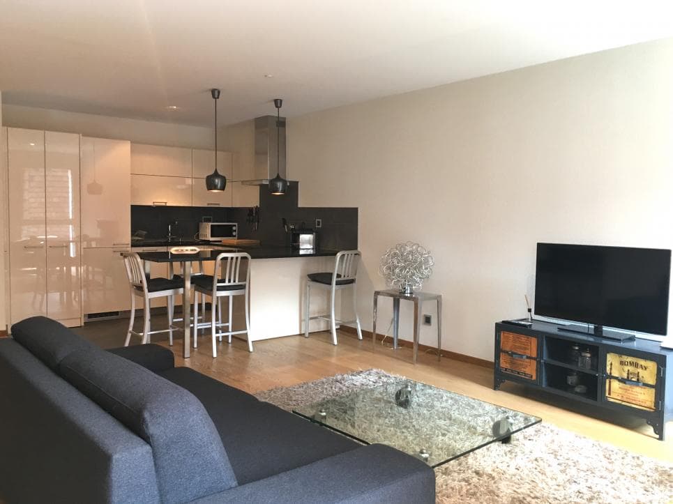 1034 – Appartement – 1pièce – 1700CHF – 52 m²