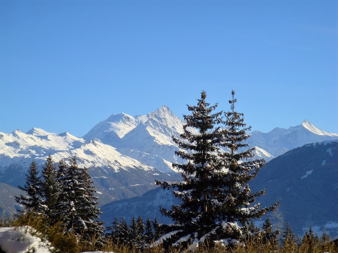 1250 – Maison – 4.5pièces –  1170CHF