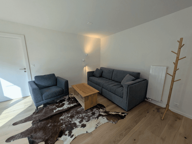 1223 – Appartement – 2pièces – 2300CHF – 55 m²