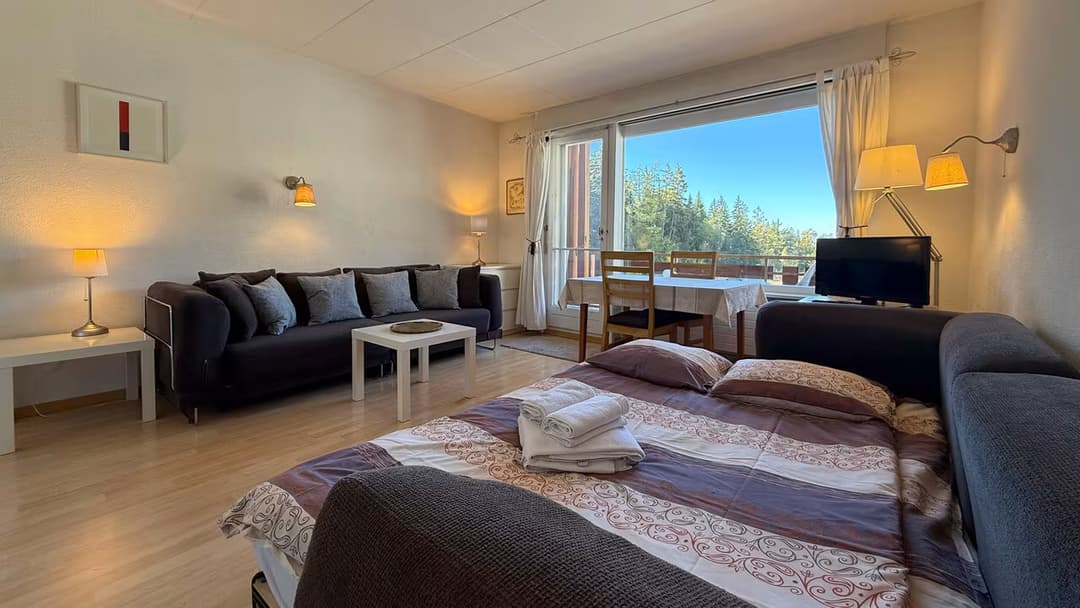 1195 – Appartement – 1pièce –  1100CHF
