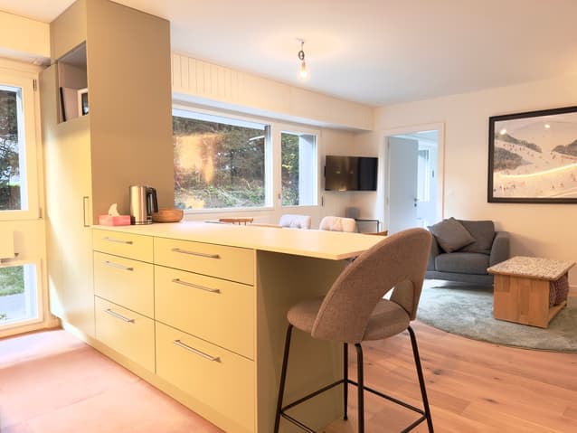 1223 – Appartement – 2pièces – 1000 CHF – 55 m²