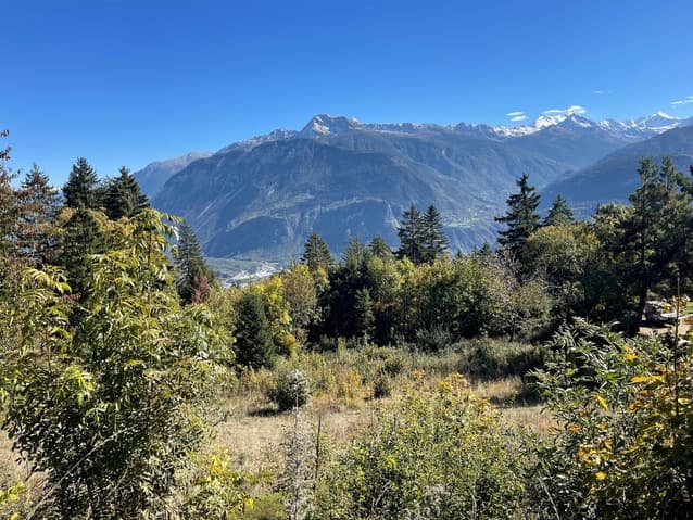1687 – Terrain – 150000CHF – 6530 m²