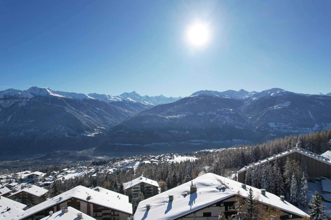 1732 – Appartement – 10.5pièces – 519m²