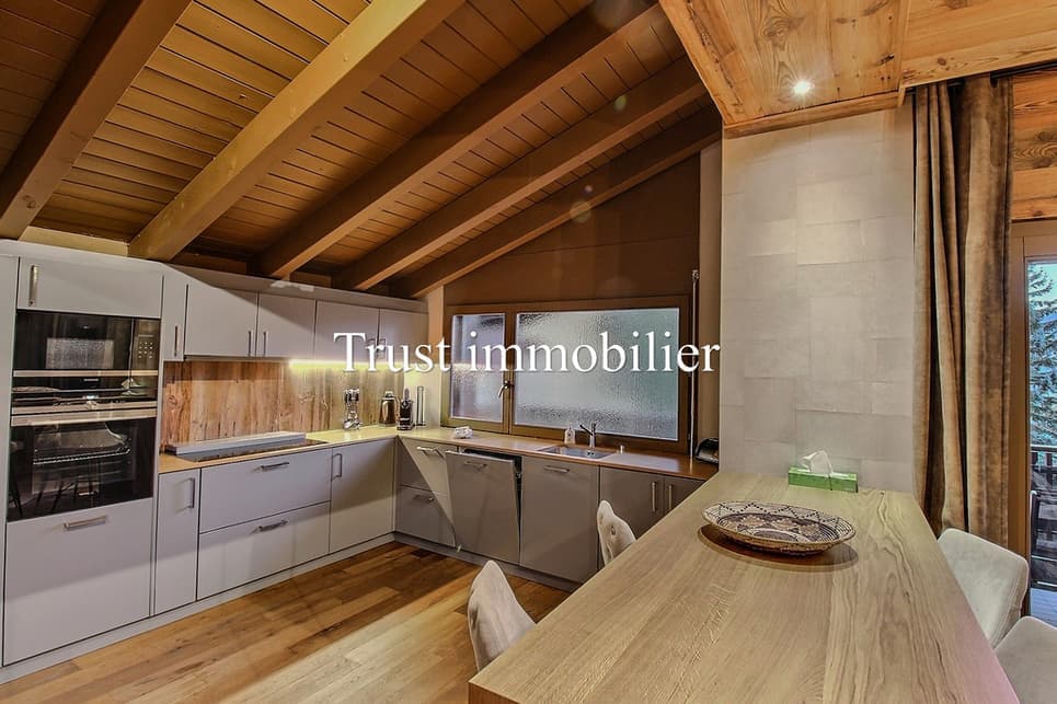 1392 – Appartement – 4.5pièces -15000 CHF  – 150m²