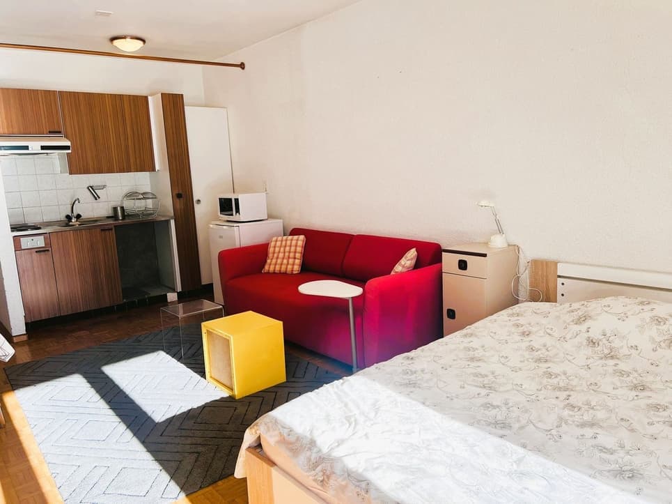 1723 – Appartement – 1.5pièces – 320000CHF –  33 m²