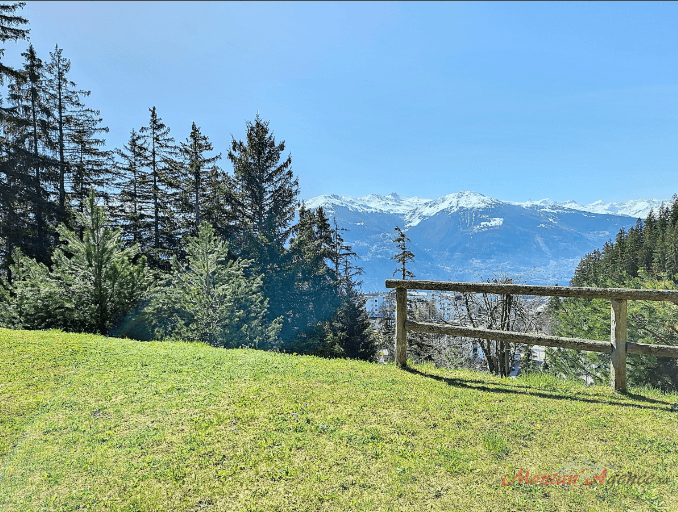 1506 – Appartement 3 pièces – 494.85CHF – 85m²