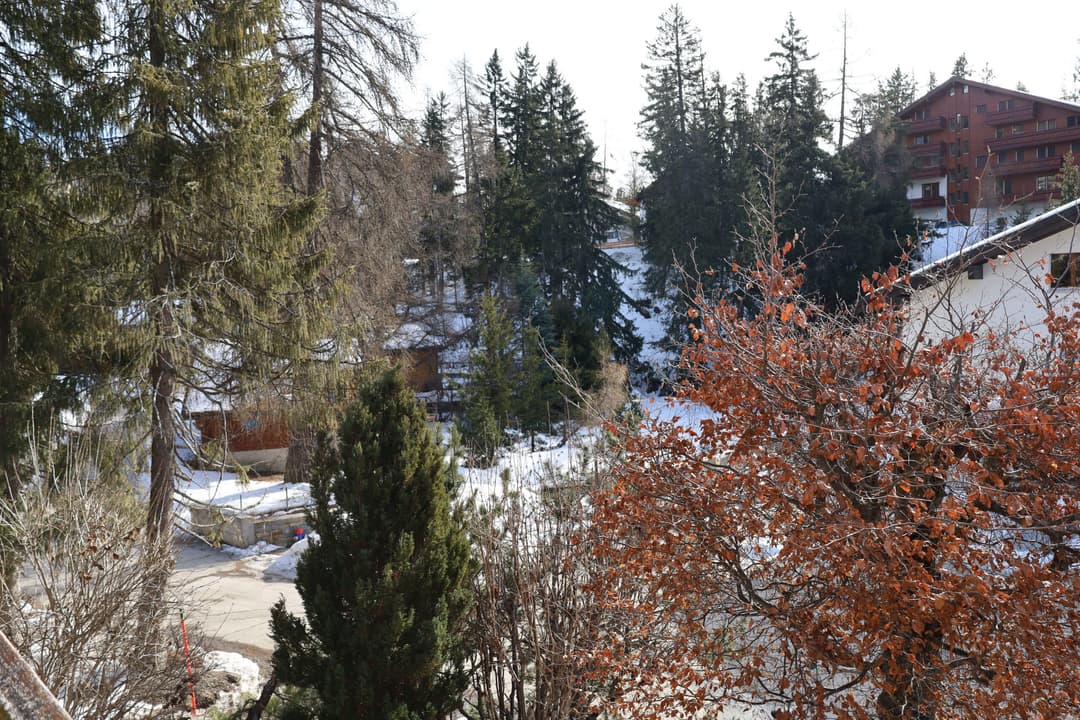 1534 – Appartement – 3.5pièces