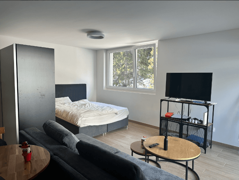 1503 – Appartement 1 pièce – 1460CHF – 45m²