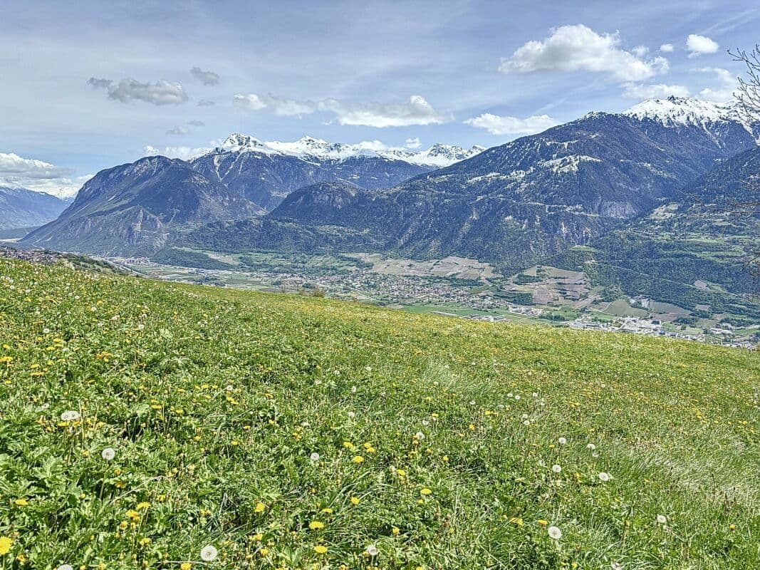 1791 – Maison – 5pièces  – 1500000CHF – 100 m²