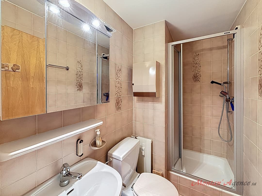 1489 – Appartement – 3.5pièces – 485.25CHF  – 91.5 m²