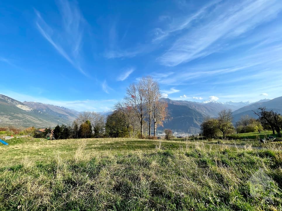 1959 – Terrain – 650000CHF – 1114m²