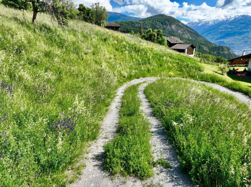 1883 – Terrain – 399000CHF – 1289m²