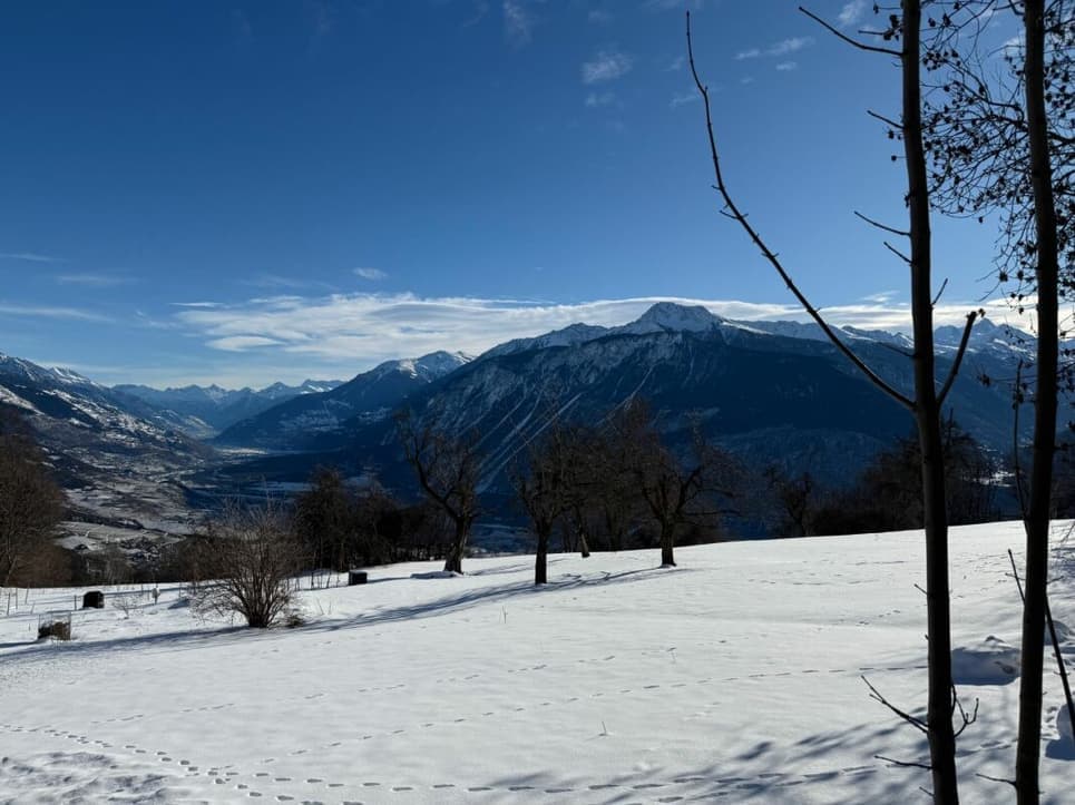 1881 – Appartement – 5.5pièces – 1338900CHF – 194m²