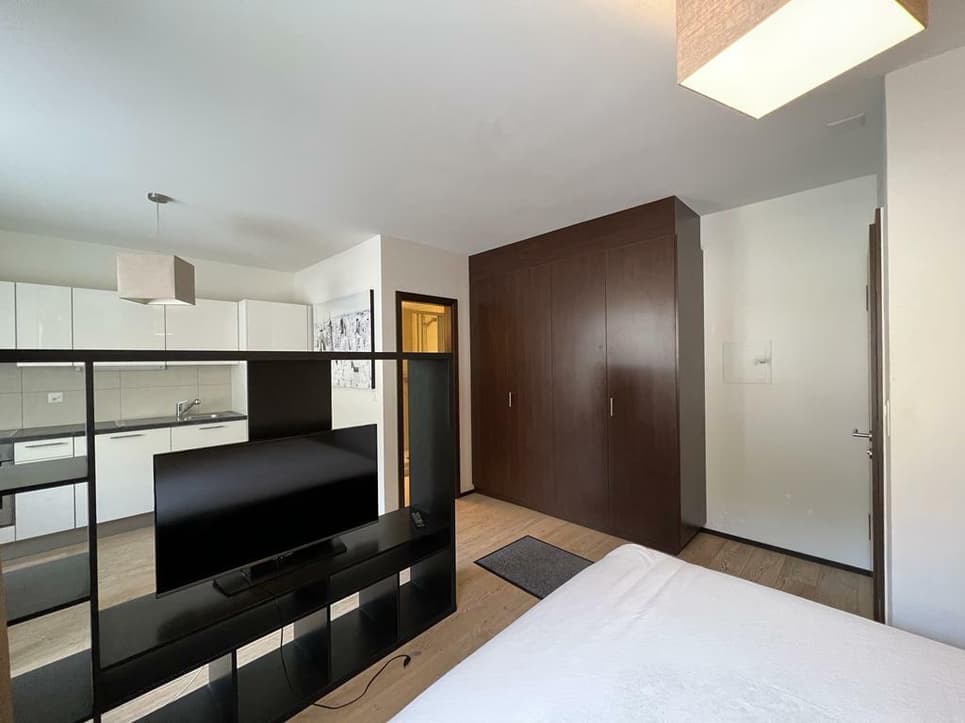 1566 – Appartement – 1pièce – 950CHF  – 30m²