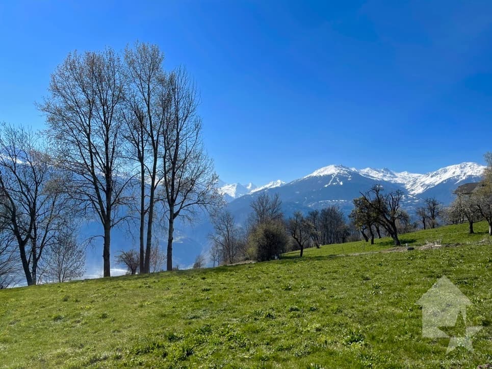 1959 – Terrain – 650000CHF – 1114m²