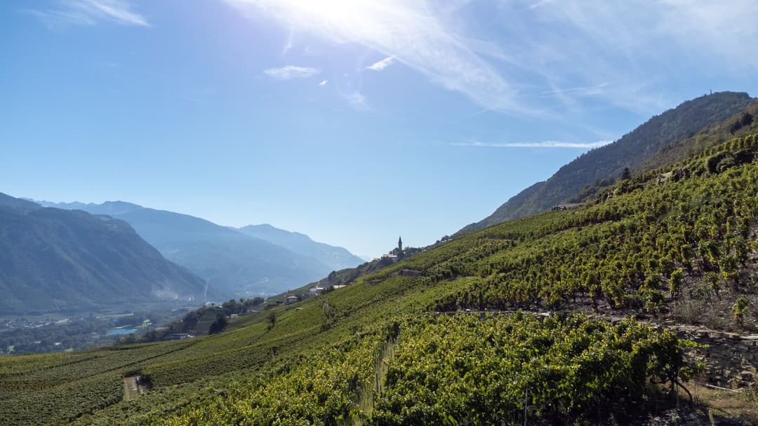 2227 – Appartement 5.5 pièces –  985000CHF – 165m²