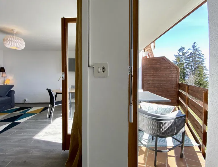 1826 – Appartement – 1.5pièces – 1150CHF – 28 m²