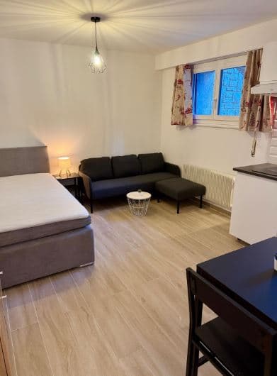 1886 – Appartement 1 pièce – 1090CHF
