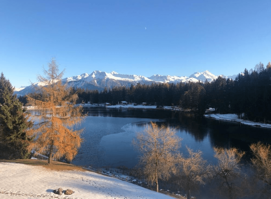 1869 – Appartement 4.5 pièces – 3500 CHF – 119 m²