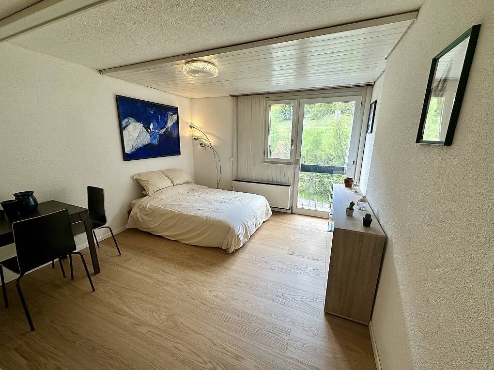 1899 – Appartement – 1pièce – 980CHF