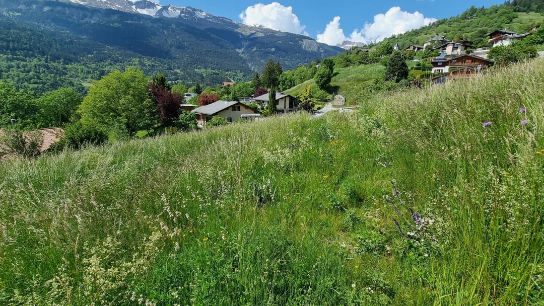 2312 – Terrain – 264400 CHF – 809m²