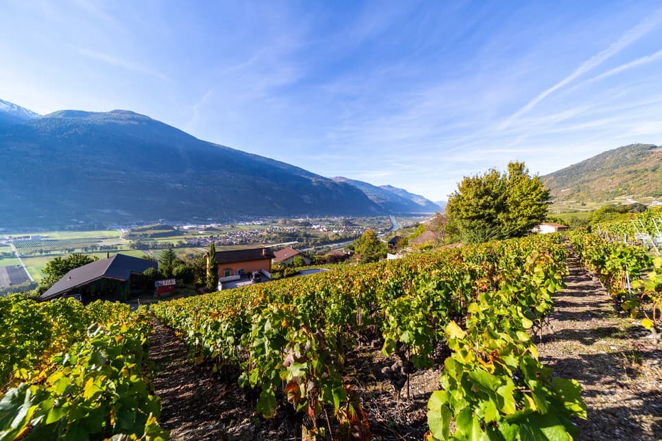 1699 – Terrain – 1300000CHF – 2191m²