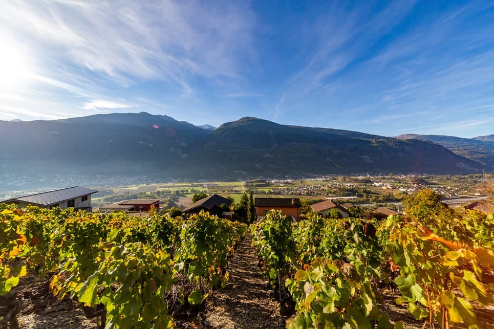 1699 – Terrain – 1300000CHF – 2191m²