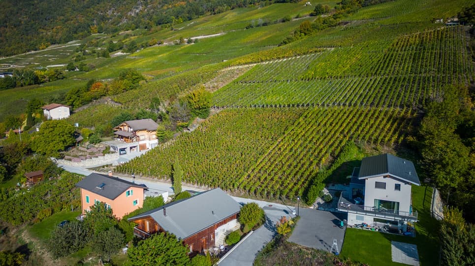 1699 – Terrain – 1300000CHF – 2191m²