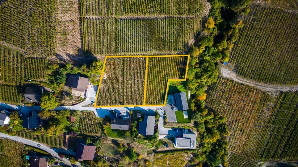 1699 – Terrain – 1300000CHF – 2191m²