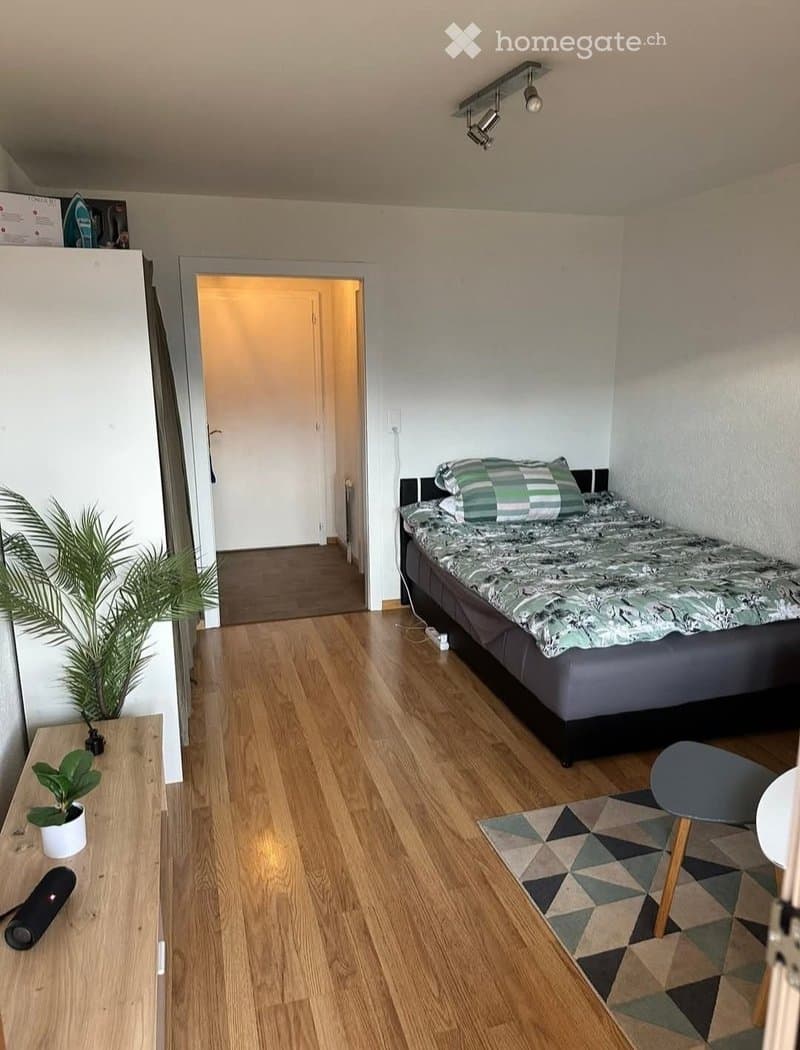 1616 – Appartement – 1.5pièces – 850CHF – 26 m²