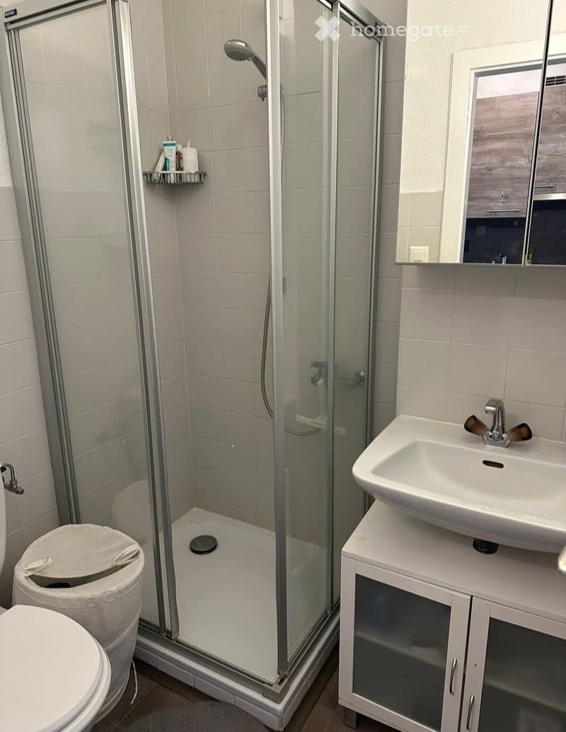 1616 – Appartement – 1.5pièces – 850CHF – 26 m²