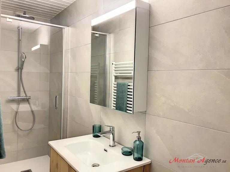 1678 – Appartement 1 pièce – 900 CHF