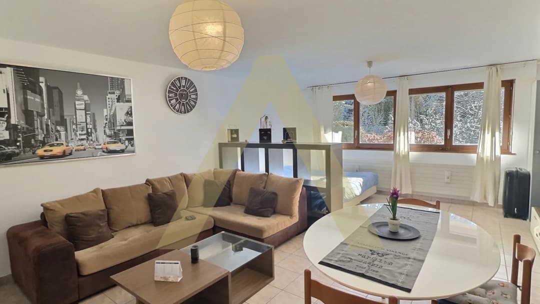 2163 – Appartement 1 pièce – 350000 CHF – 45 m²